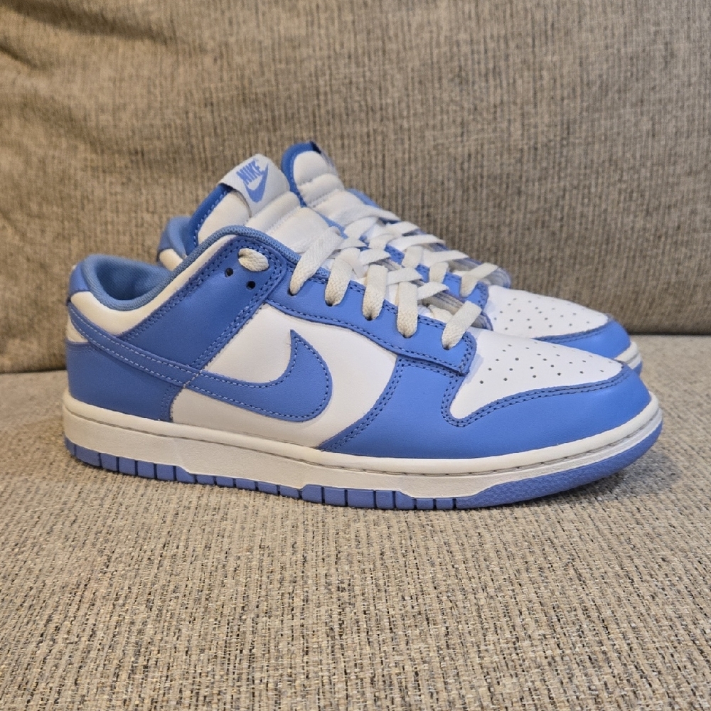 Nike Dunk Low Retro Polar Blue